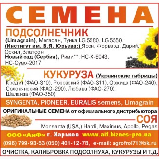 Посевной материал украинский гибрид кукурузы Любава фао-270
