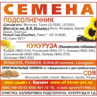 Посевной материал украинский гибрид кукурузы Любава фао-270