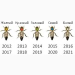 Матка КАРПАТКА, КАРНІКА 2023 ПЛІДНІ БДЖОЛОМАТКИ (Пчеломатки, бджолині матки, плодные матки