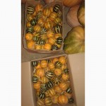 Продам тыкву, гарбуз (сорта разные) урожай 2016