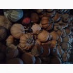 Продам тыкву, гарбуз (сорта разные) урожай 2016