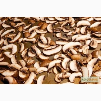 СОК Шепітчанка продає гриб білий висушений за новітніми технологіями - 1100 грн./кг