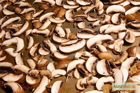 СОК Шепітчанка продає гриб білий висушений за новітніми технологіями - 1100 грн./кг