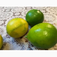 Продам лимоны тонкошкуристые.Прямые поставки из Туркменистана