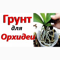 Кора сосновая для орхидей и др. растений, декора, дешево 20 грн