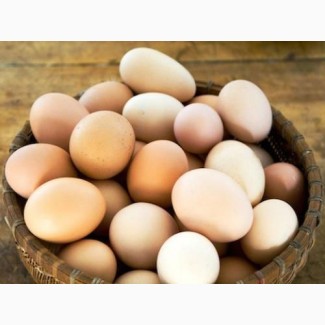 Натуральные домашние куриные яйца