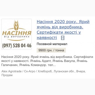 Насіння 2020 року. Ячмінь від виробника. Сертифікати у наявності