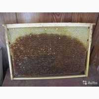 Продам пчелиная сушь (бджолина суш)