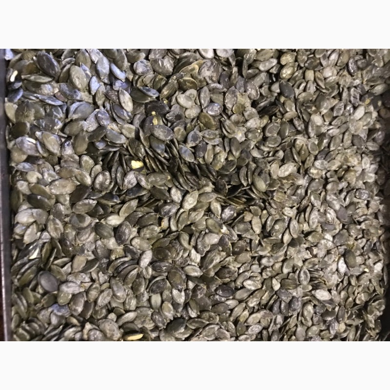 Фото 2. Продам насіння голонасінного гарбуза
