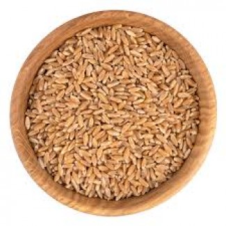 Продам пшеницю 3 кл з місця