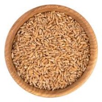 Продам пшеницю 3 кл