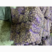 Продам картоплю Арізона