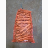 ФГ продає Моркву 1гат, сорт Олімпо, нанський тип