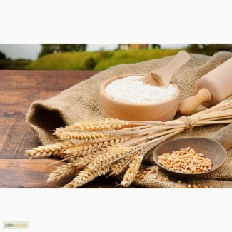 Борошно пшеничне від виробника Житомир та Житомирська область