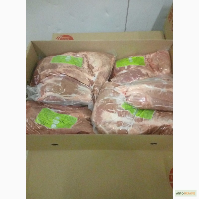 Фото 9. Мясо говядины на экспорт