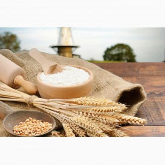 Борошно пшеничне вищого та першого ґатунку ГСТУ 46.004-99 від ВИРОБНИКА