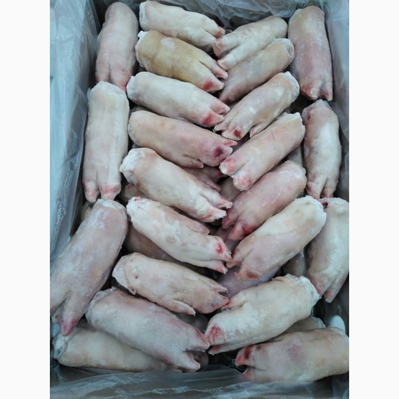 Фото 4. ООО « Амтек Трейд» предлагает замороженные свиные ноги