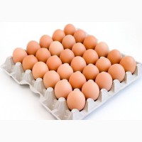 Куриное яйцо от производителя г.Донецк