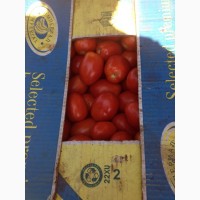 Продам помидор грунтовой, сорт Рио Гранде