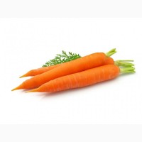 Продам Морковь товарную оптом