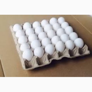Закупаем яйца