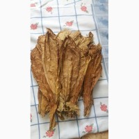 Продам табак листовой Virginia, Burley