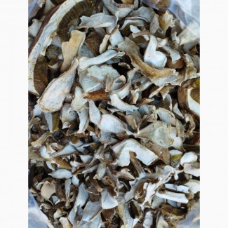 Сушені білі гриби із Закарпаття 2022 білі 1 сорт ціни вказані за 1 кг