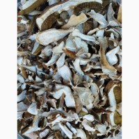 Сушені білі гриби із Закарпаття 2022 білі 1 сорт ціни вказані за 1 кг