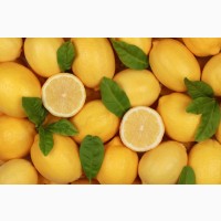 Лимоны из Анталии. Самовывоз. 5грн/кг