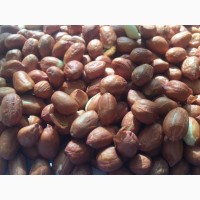 Продается арахис Ява 50/60 сырой, мешок 25 кг, Индия