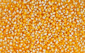 Фото 3. Пропонуємо портії зерна на умовах FCA або DDP///We offer grain portions on FCA or DDP term