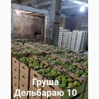 Продам груши