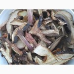 Продам гриб дубовик (синяк) сушений