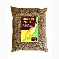 Семена кормовой свеклы Урсус Поли (Фасовка - 0, 5кг)