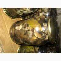 Продам білий гриб маринований, сушений також є мікс грибів