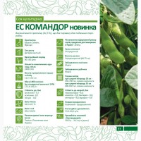 Пропонуємо насіння сої ЕС Командор (СН-1) Без ГМО