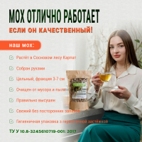 Исландский мох Карпатский 50 грамм Купить Цетрария слоевище лучшего качества в Украине