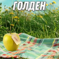 Яблука зі свого саду Хані крісп, Ред Джонапринц, Голден, Джероміні, Моді