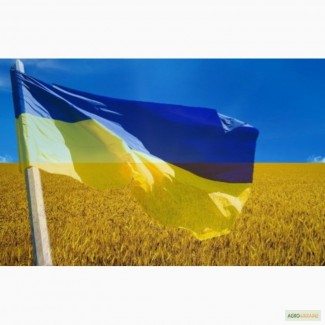 Прапор України, маленький, розмір: 60х40 см
