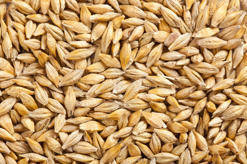 Фото 3. Есть покупатели пшеницы и кукурузы с эливаторов и хозяйств с всей Украины 1 000 тонн