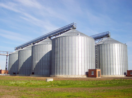 Фото 2. Есть покупатели пшеницы и кукурузы с эливаторов и хозяйств с всей Украины 1 000 тонн