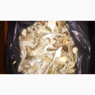 Белые грибы сушеные. Білі гриби сушені