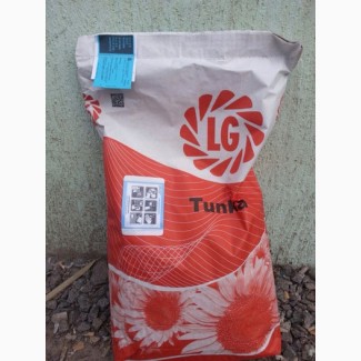 Продам семена подсолнечника Лимагрейн Тунка, LG 5580, LG 59580