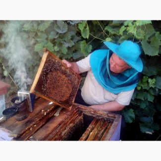 Продам натуральный мед. Своя пасека Сумская область