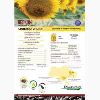 Продам насіння соняшнику Велком від Кассад Семанс 93 євро