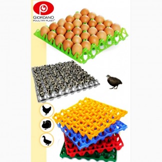 Пластиковый лоток для куриных яиц, лотки для яиц, лоток для гусиных яиц