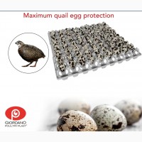 Пластиковый лоток для куриных яиц, лотки для яиц, лоток для гусиных яиц