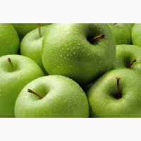Предприятие закупает яблоки по всей территории Украины
