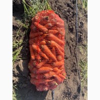Продам морковь “Йорк» 1 сорт