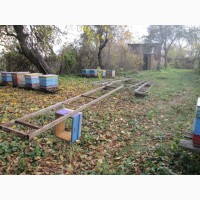 Модуль-платформа для бджіл